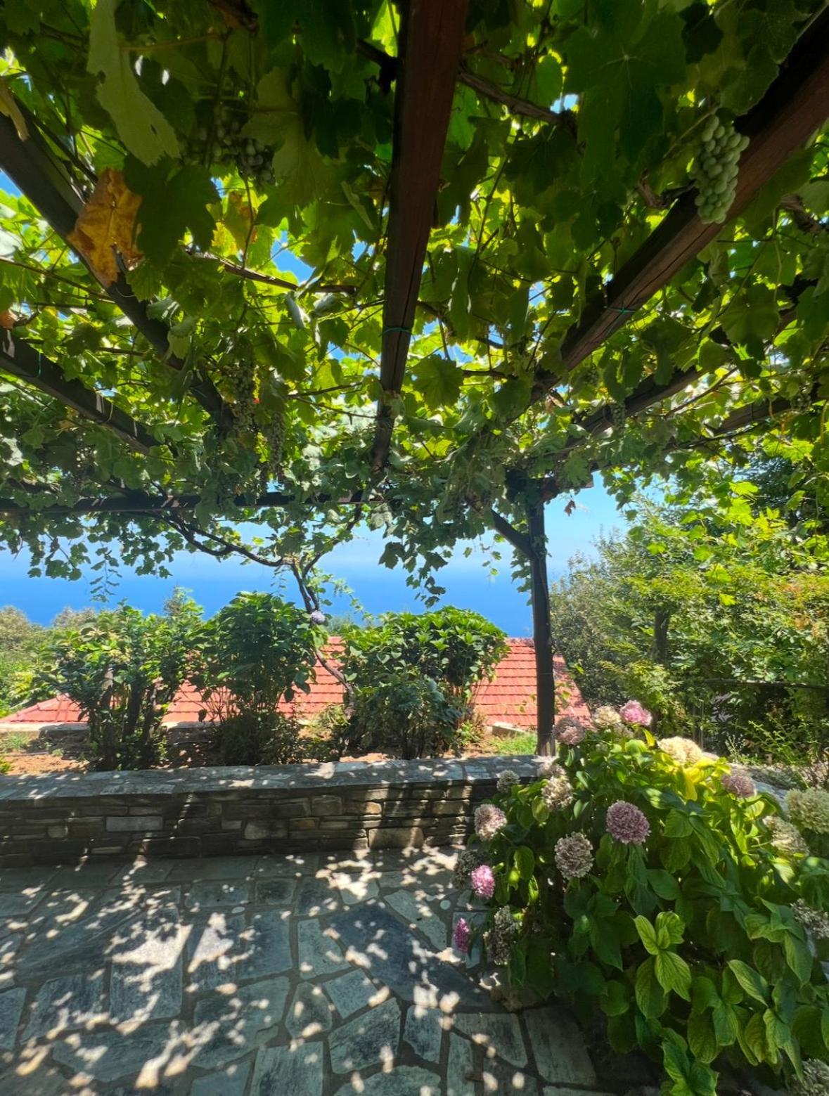 Appartement Om Living Pelion Áyios Dhimítrios